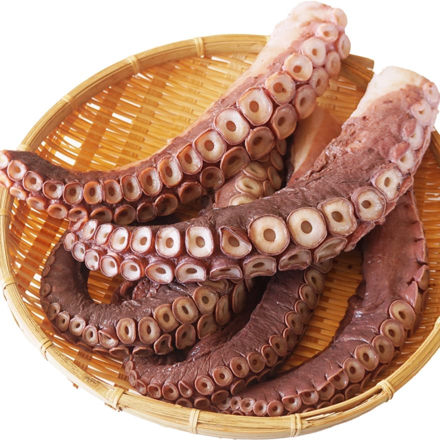 タコ